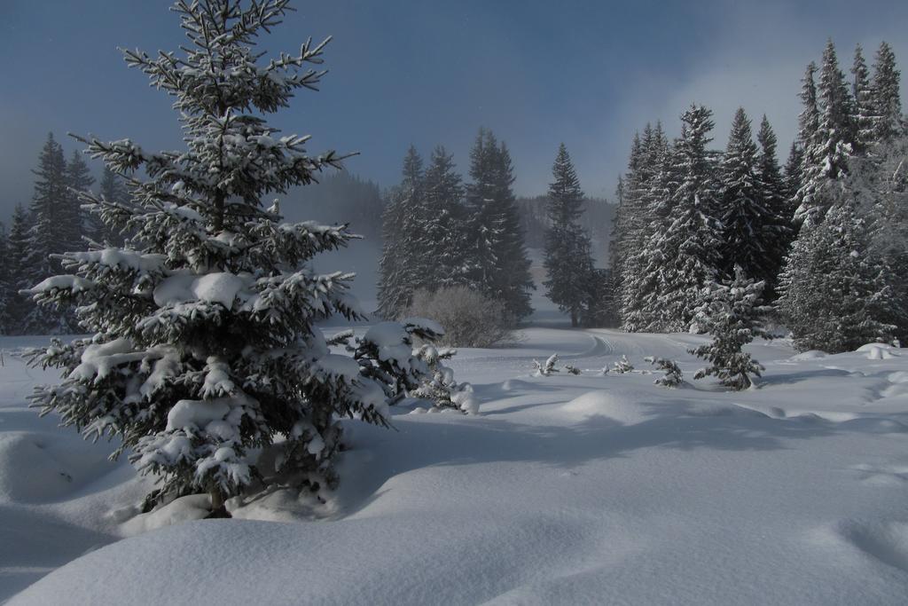Apartman Strbske Pleso - Crocus 219 エクステリア 写真
